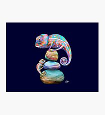 Chameleons Photographic Print