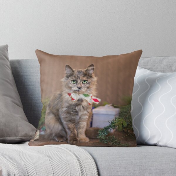 Artikelvorschau, Christmas Tortie entworfen und verkauft von AndreaBorden.