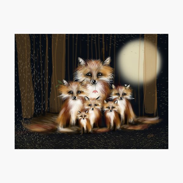 Fox Family Photographic Print