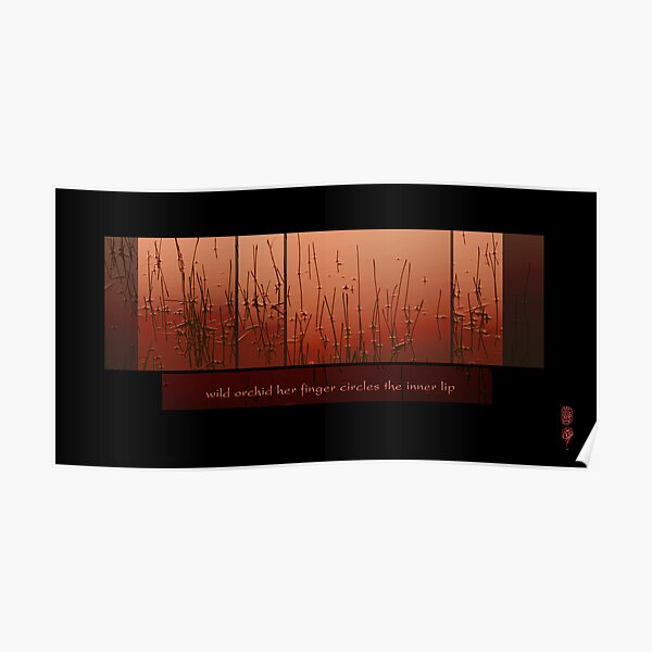 Wild Orchid Poster