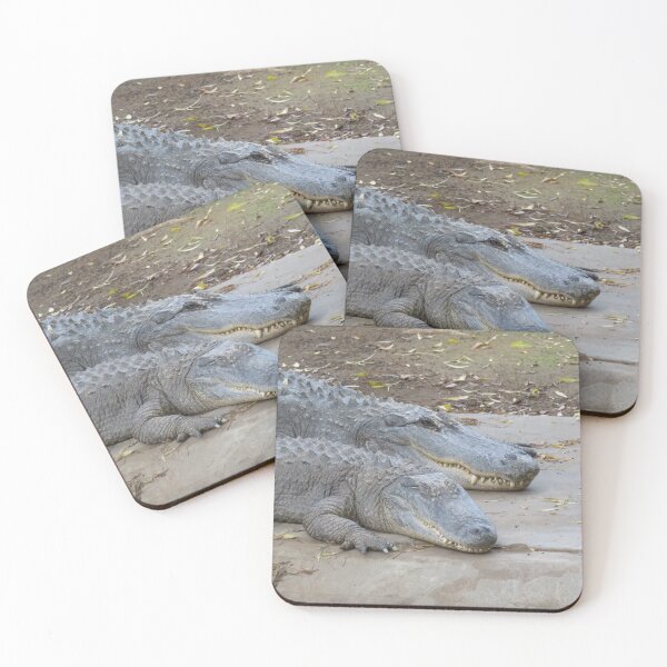 Item preview, Two American alligators designed and sold by greentiger1.