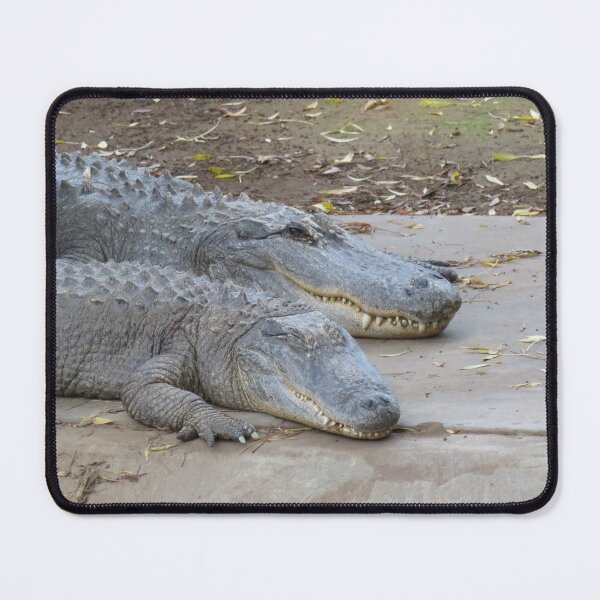 Item preview, Two American alligators designed and sold by greentiger1.