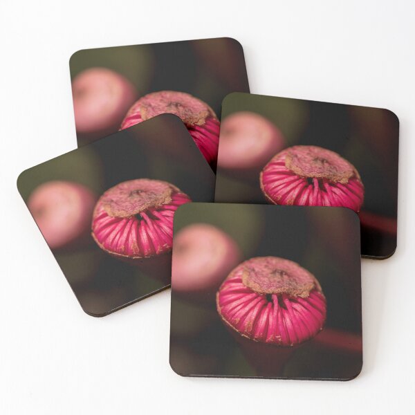 Item preview, Red Flowering Gum Flower Ready to Pop designed and sold by suziq1962.