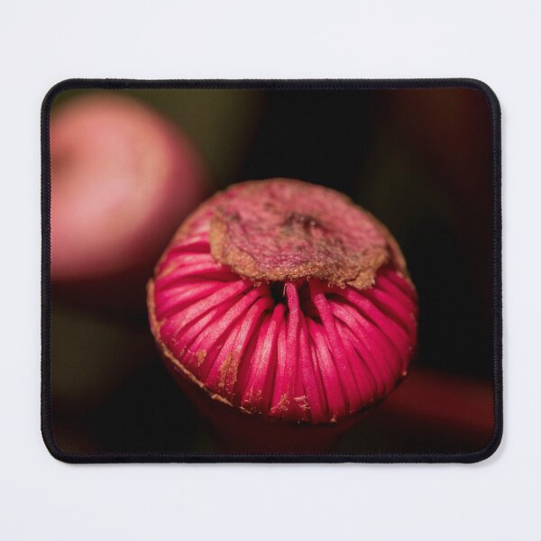 Item preview, Red Flowering Gum Flower Ready to Pop designed and sold by suziq1962.