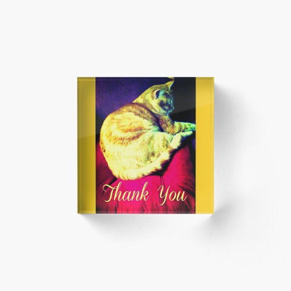 Thank You Magical Words Cat Acrylic Block
