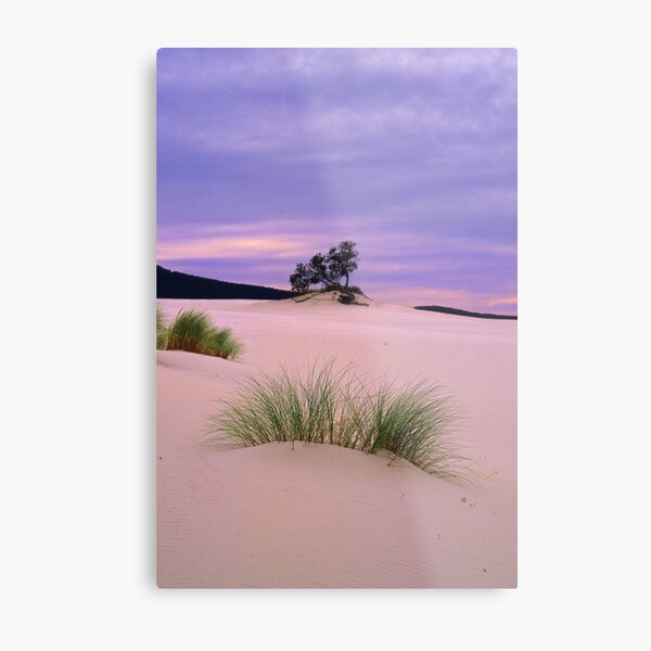 Barracoota Dunes Metal Print