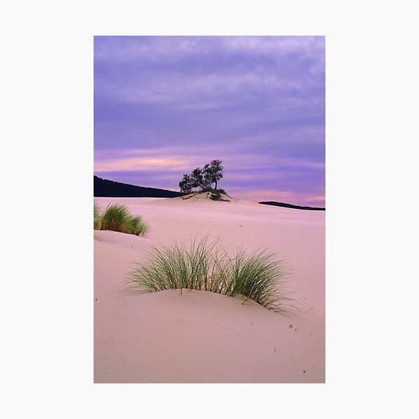 Item preview, Barracoota Dunes designed and sold by Travis Easton.