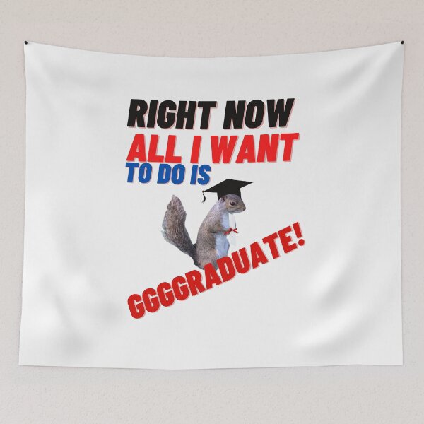 Item preview, Right now all I want to do is graduate designed and sold by boomantique.
