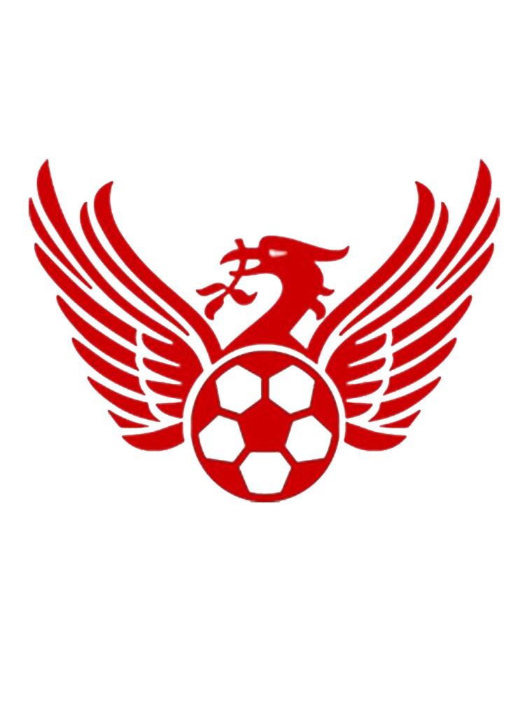 Liverpool shirt clearance logo