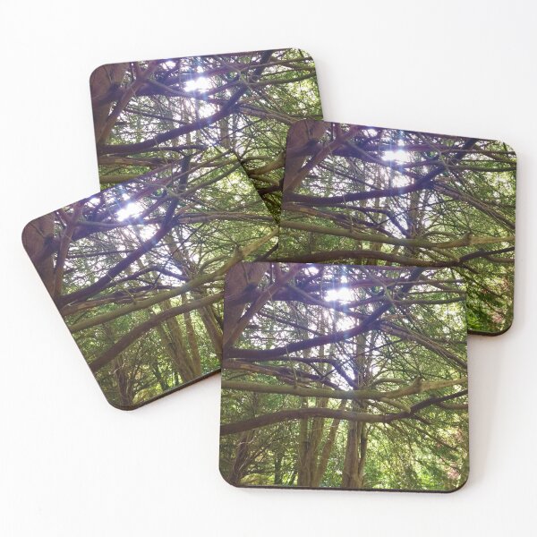 Item preview, #192 |☼| Beaming Between Branches (Elsham Hall, Gardens & Country Park) designed and sold by Naean H.F. (Nez Man).