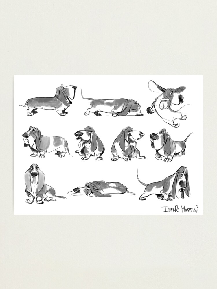 basset hound lovers