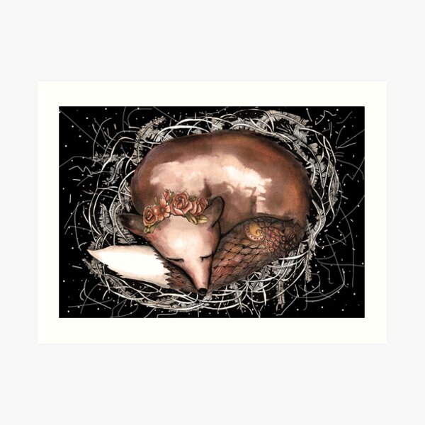 Let sleeping foxes lie Art Print