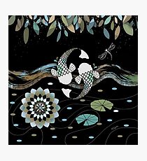 Lucky Koi Mandala Photographic Print