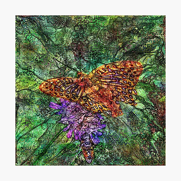 Summer Wine 13 Photographic Print
