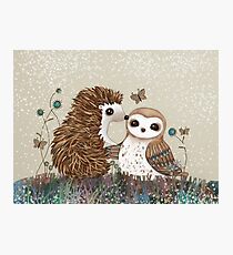Owl and Hedgehog Photographic Print