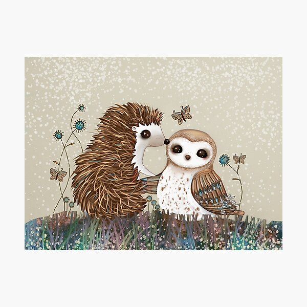 Owl and Hedgehog Photographic Print