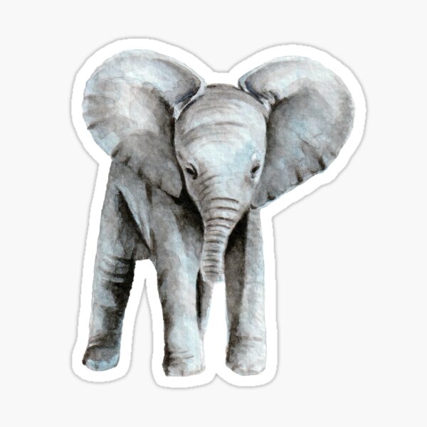 Baby elephant Sticker