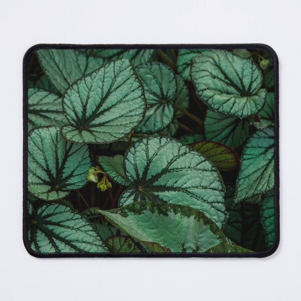 Item preview, Jade leaves designed and sold by FGCART.