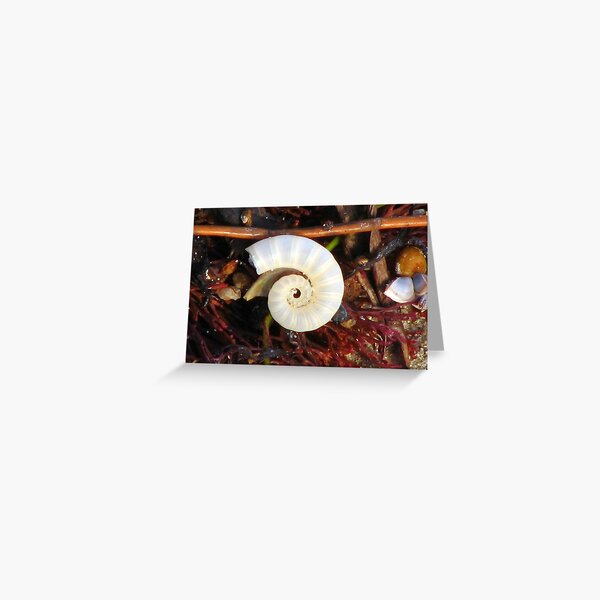 Empty Shell Syndrome Greeting Card