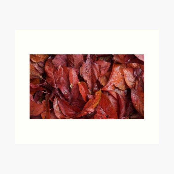 Item preview, Prunus in Autumn - Avril Thomas at Magpie Springs designed and sold by MagpieSprings.
