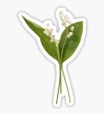Lily of the valley in vector Sticker