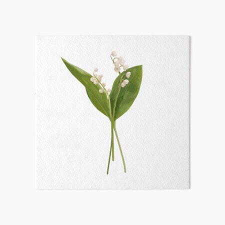 Lily of the valley in vector Art Board Print