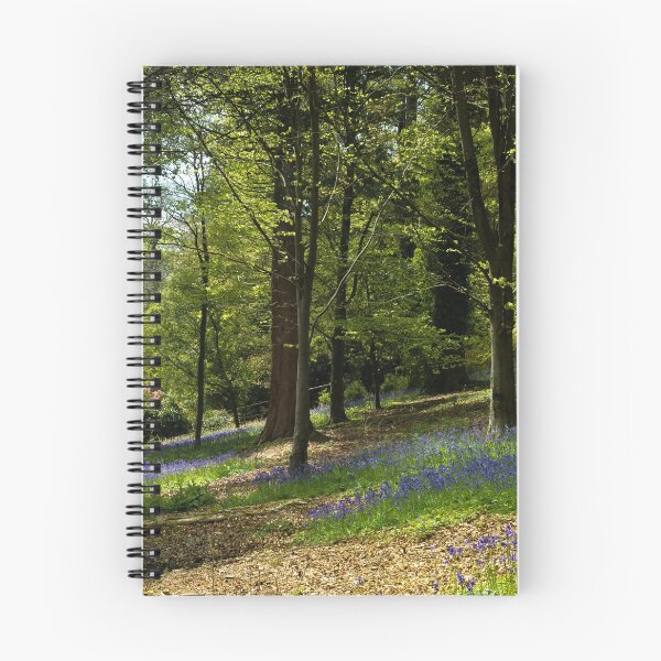 Item preview, Bluebells Glade designed and sold by David  Rowlatt.
