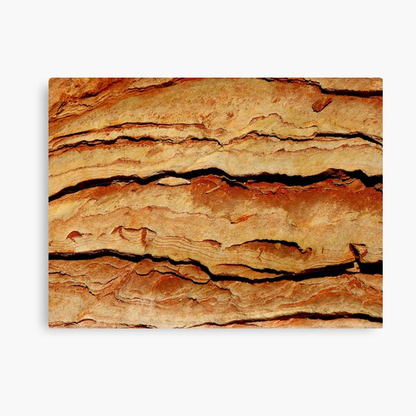 Pilbarra Pride Canvas Print