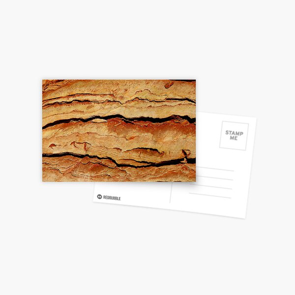 Pilbarra Pride Postcard