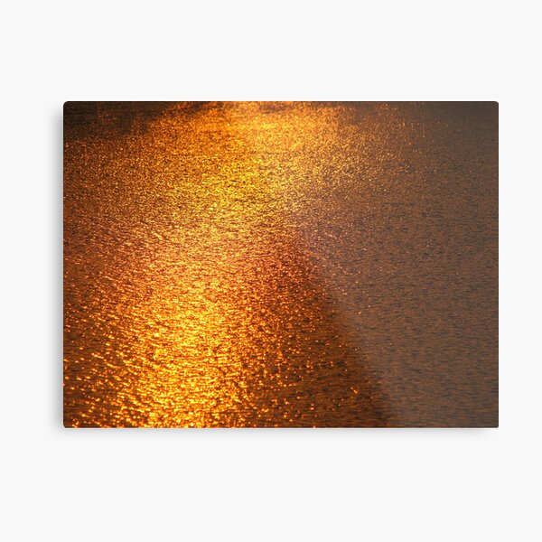 Gold Coins Metal Print