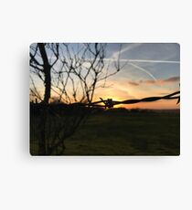 Barbed Wire Canvas Print