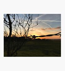 Barbed Wire Photographic Print