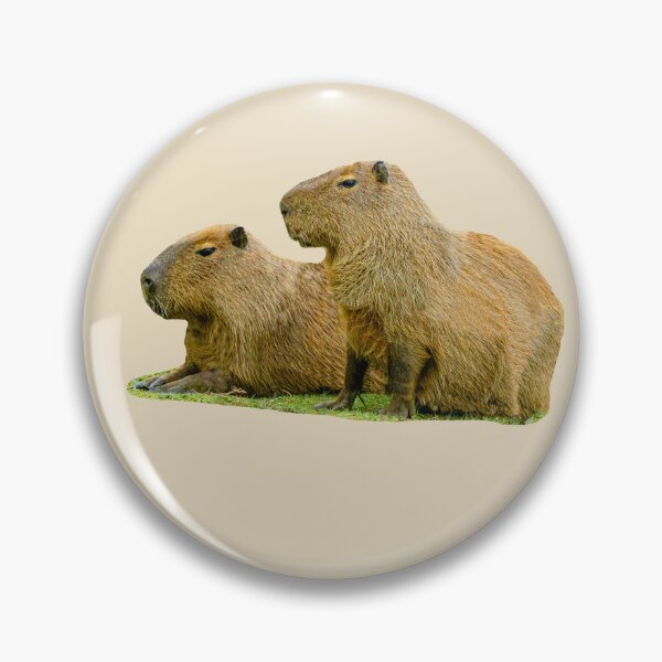 Item preview, Just posing Capybara pair designed and sold by Dalyndigital Photography.