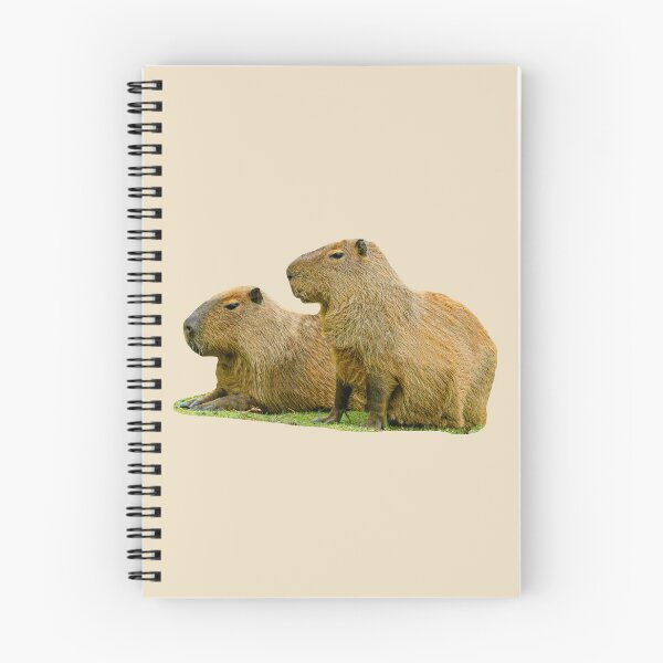 Item preview, Just posing Capybara pair designed and sold by Dalyndigital Photography.