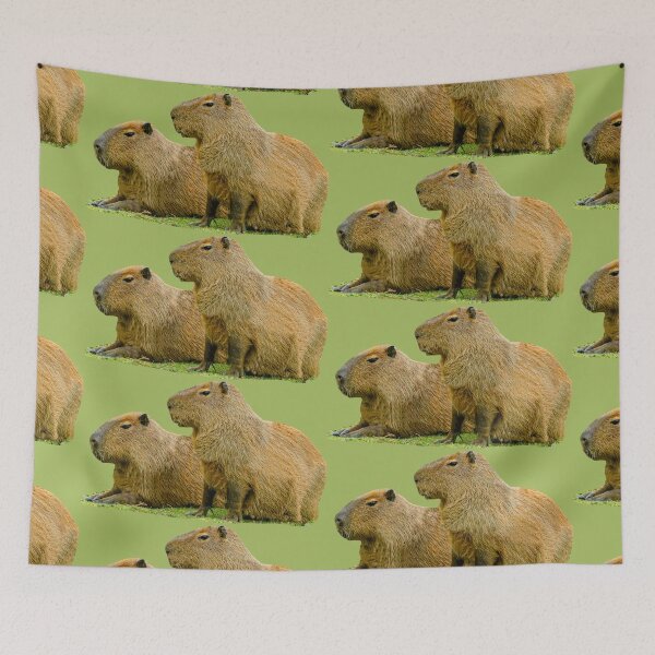 Item preview, Just posing Capybara pair designed and sold by Dalyndigital Photography.