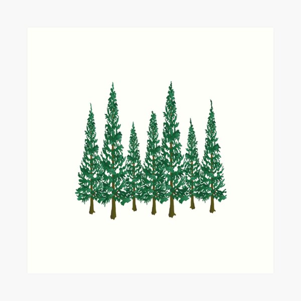 Into the Pines Art Print