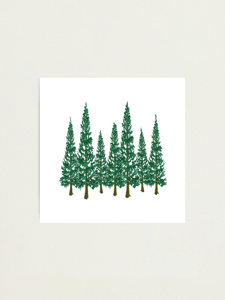 Alternate view of Into the Pines Photographic Print