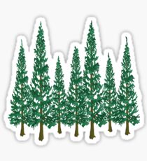 Into the Pines Sticker