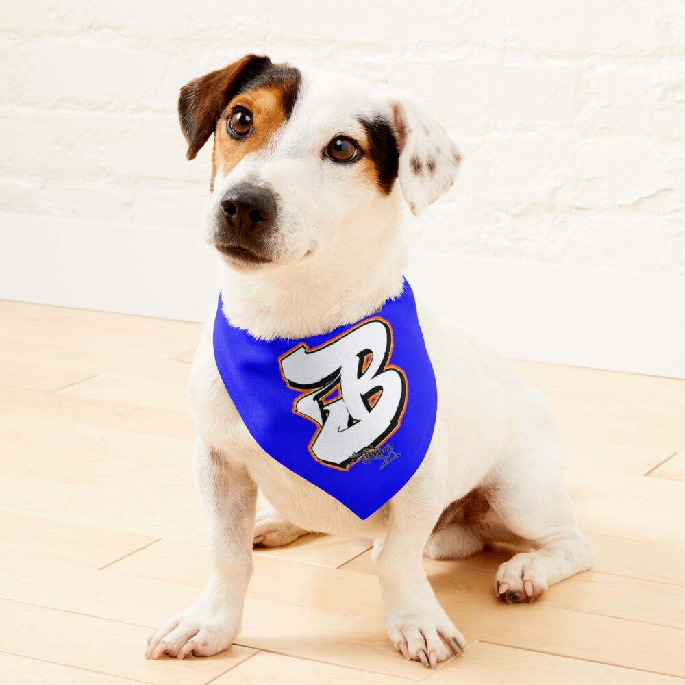 LETTER B BY ESONE URBAN GRAFFITI STREET STYLE  Pet Bandana for