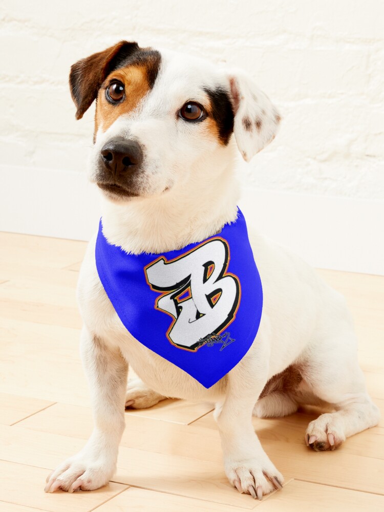 LETTER B BY ESONE URBAN GRAFFITI STREET STYLE  Pet Bandana for Sale by  GraffitiBomberZ