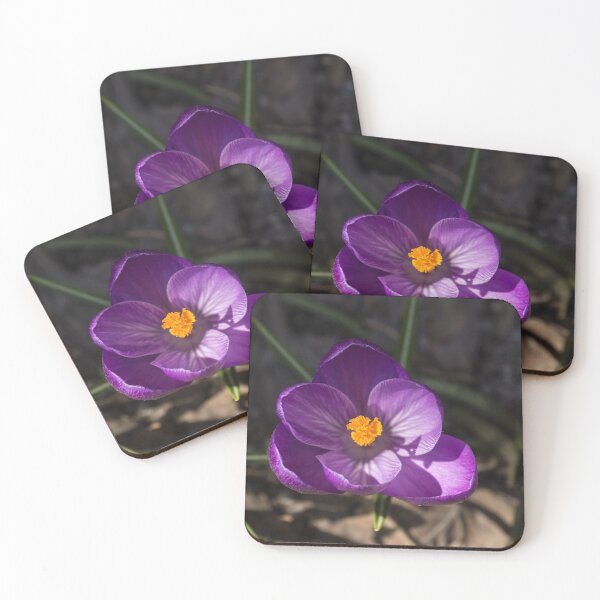 Item preview, The First Crocus Celebrating Spring designed and sold by Georgia Mizuleva.