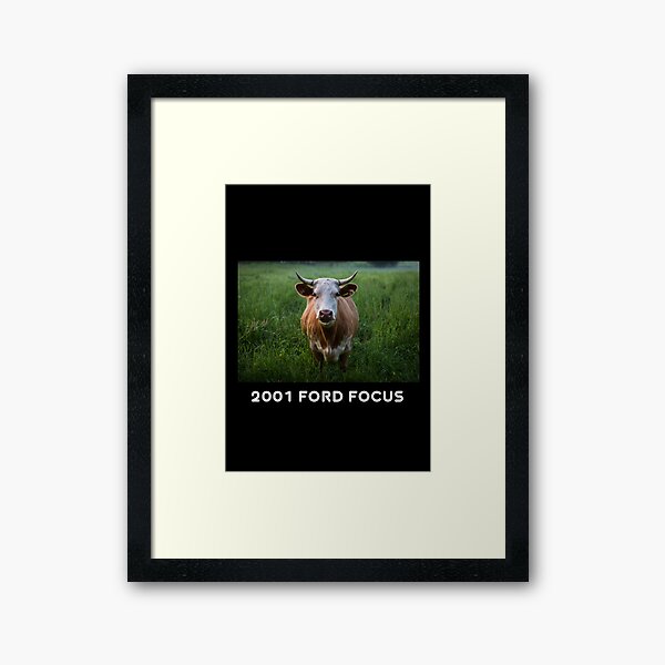 That's Not A Cow That's  A 2001 Ford Focus Framed Art Print