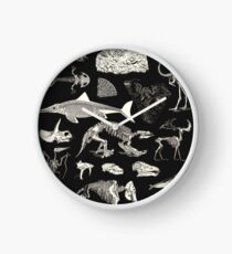 Paleontology Illustration Clock