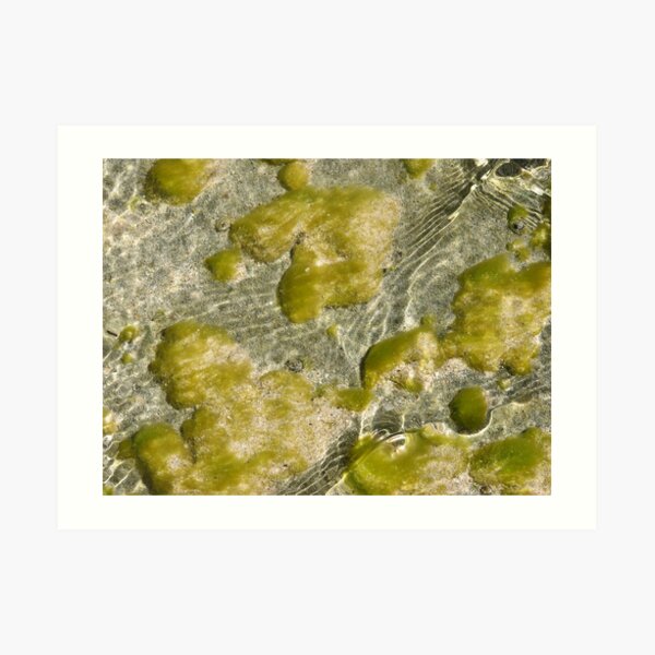 Aqua Green Art Print