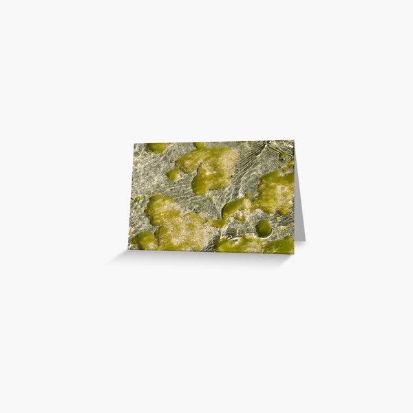 Aqua Green Greeting Card