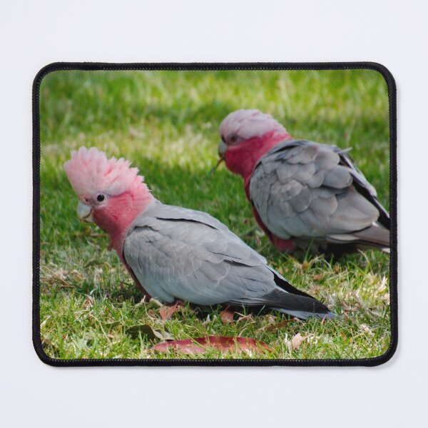 PARROT ~ Galah by David Irwin DJIX8FP4349 Mouse Pad