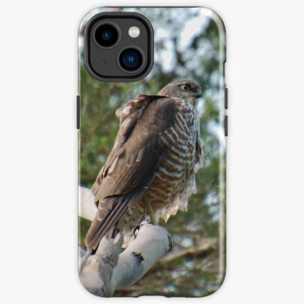 RAPTOR ~ Collared Sparrowhawk by David Irwin NNEAkJzb iPhone Tough Case