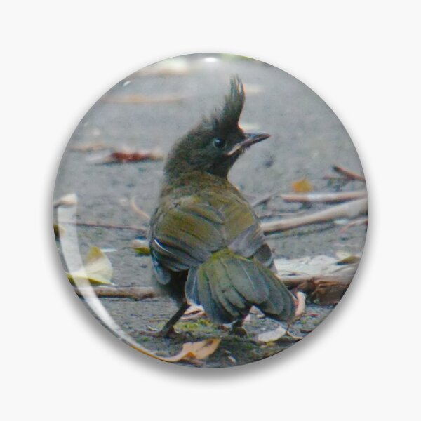 Item preview, SC ~ WO ~ Eastern Whipbird MZs9Wnf4 by David Irwin 230321 designed and sold by tasmanianartist.