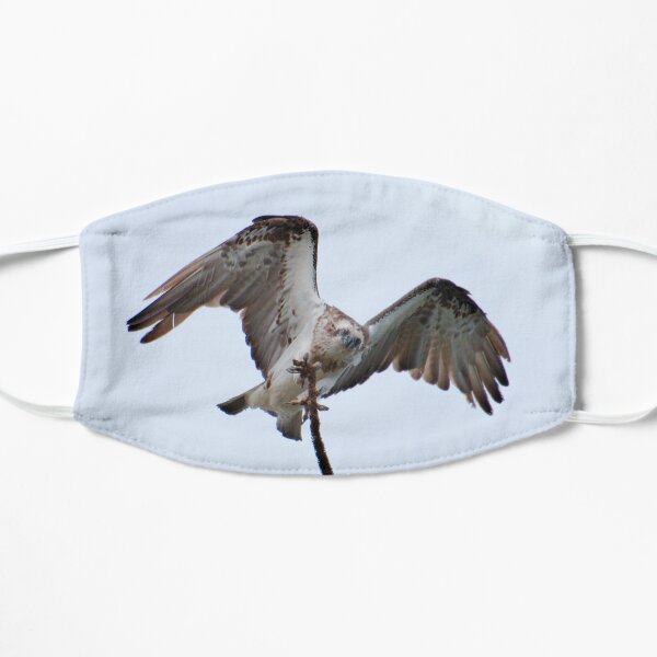RAPTOR ~ SC ~ Eastern Osprey NYLQPTSV by David Irwin 230321 Flat Mask