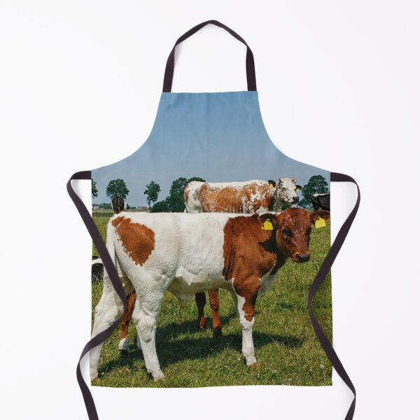 Item preview, Lakenvelder calf designed and sold by Photopat.